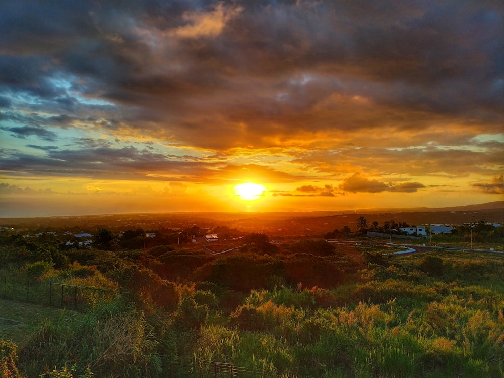 green grass field during sunset