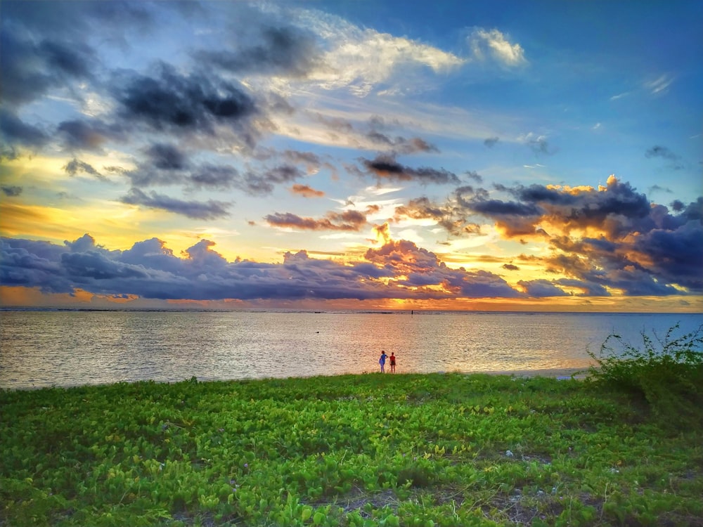 person standing on green grass field near body of water during daytime