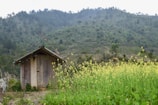Volunteers relaxing outside a tiny home, surrounded by blooming wildflowers and animal enclosures.