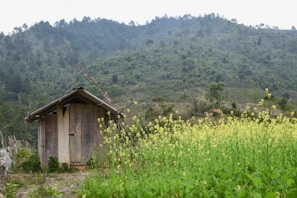 Volunteers relaxing outside a tiny home, surrounded by blooming wildflowers and animal enclosures.