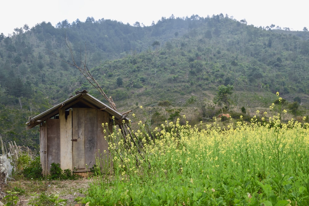 brown wooden house on green grass field during daytime