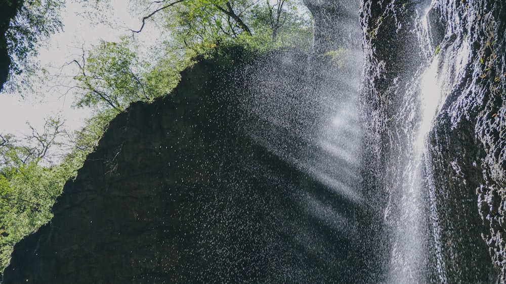 green trees and water falls