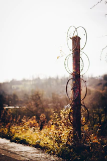 A collection of twirléa hoops hanging from a rustic fence at sunset.