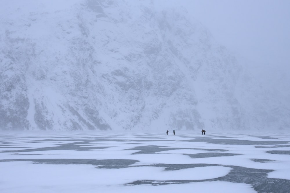 昼間、雪原を歩く人