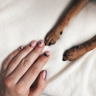 persons hand on white textile
