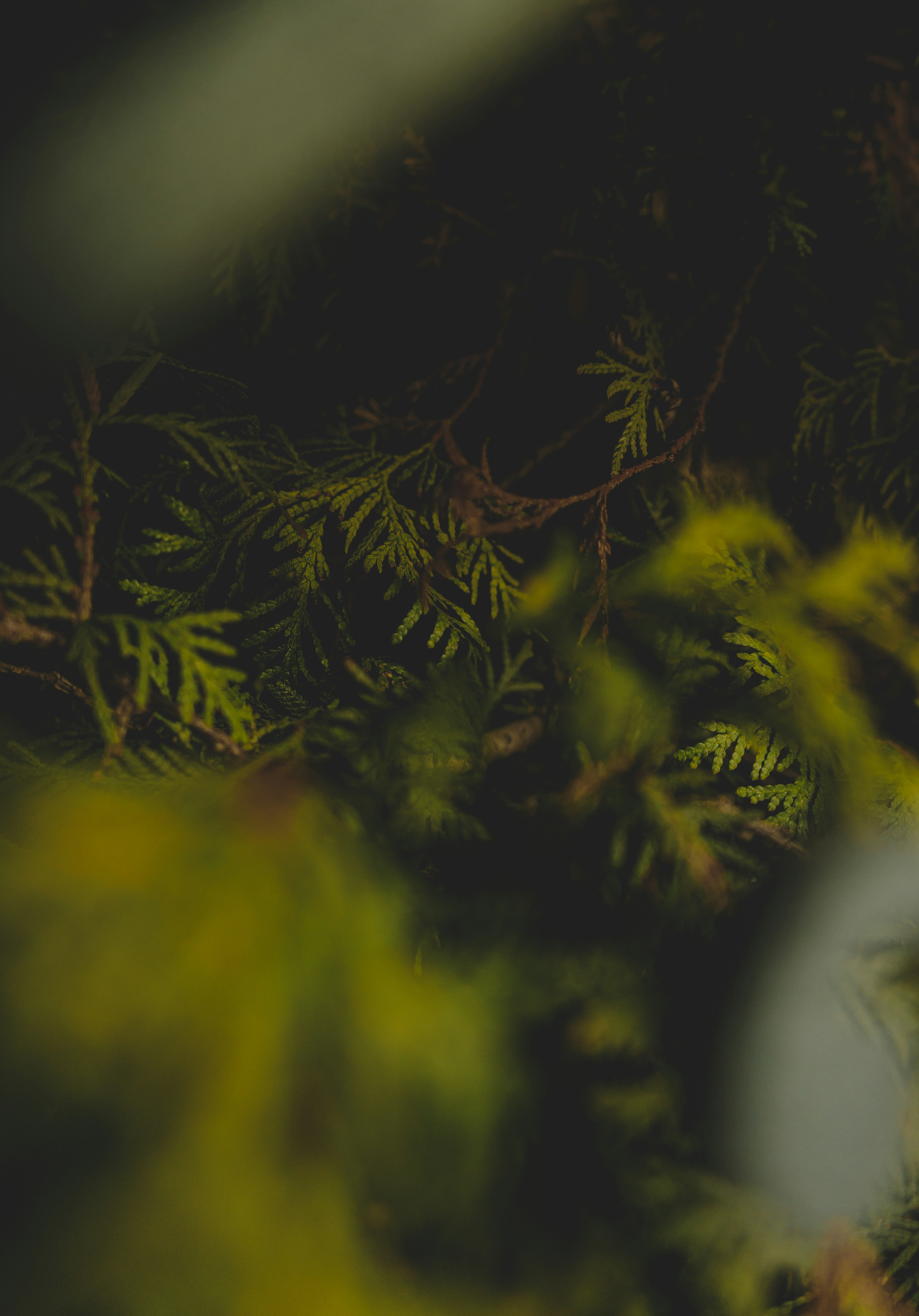 Photo by rosurazvi1995