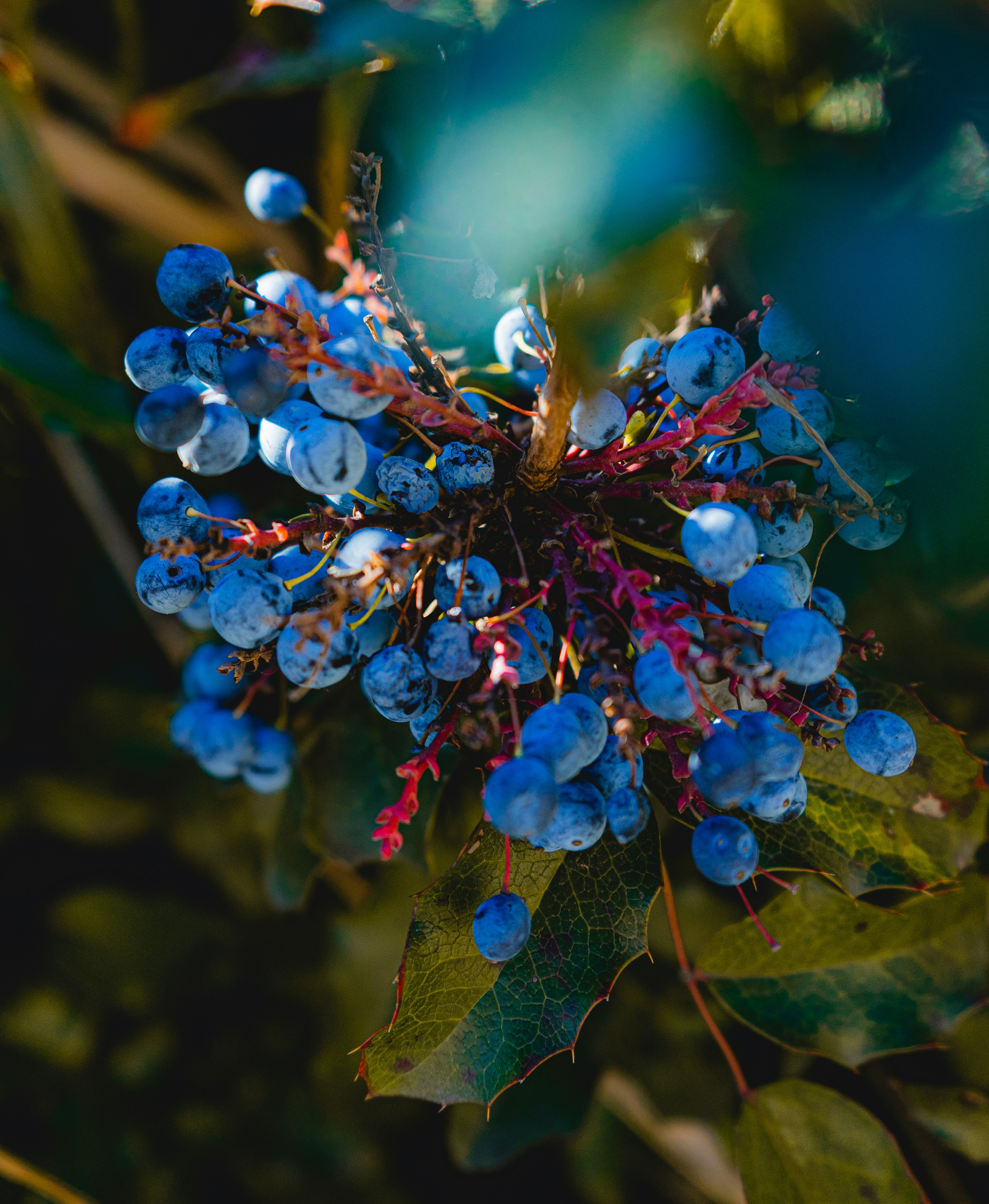 Photo by rosurazvi1995