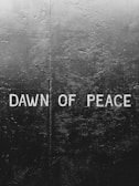 Text 'DAWN OF PEACE' appears in white on a dark, textured wall with a vertical seam. The surface is uneven, featuring rough patches and varying shades of gray and black.