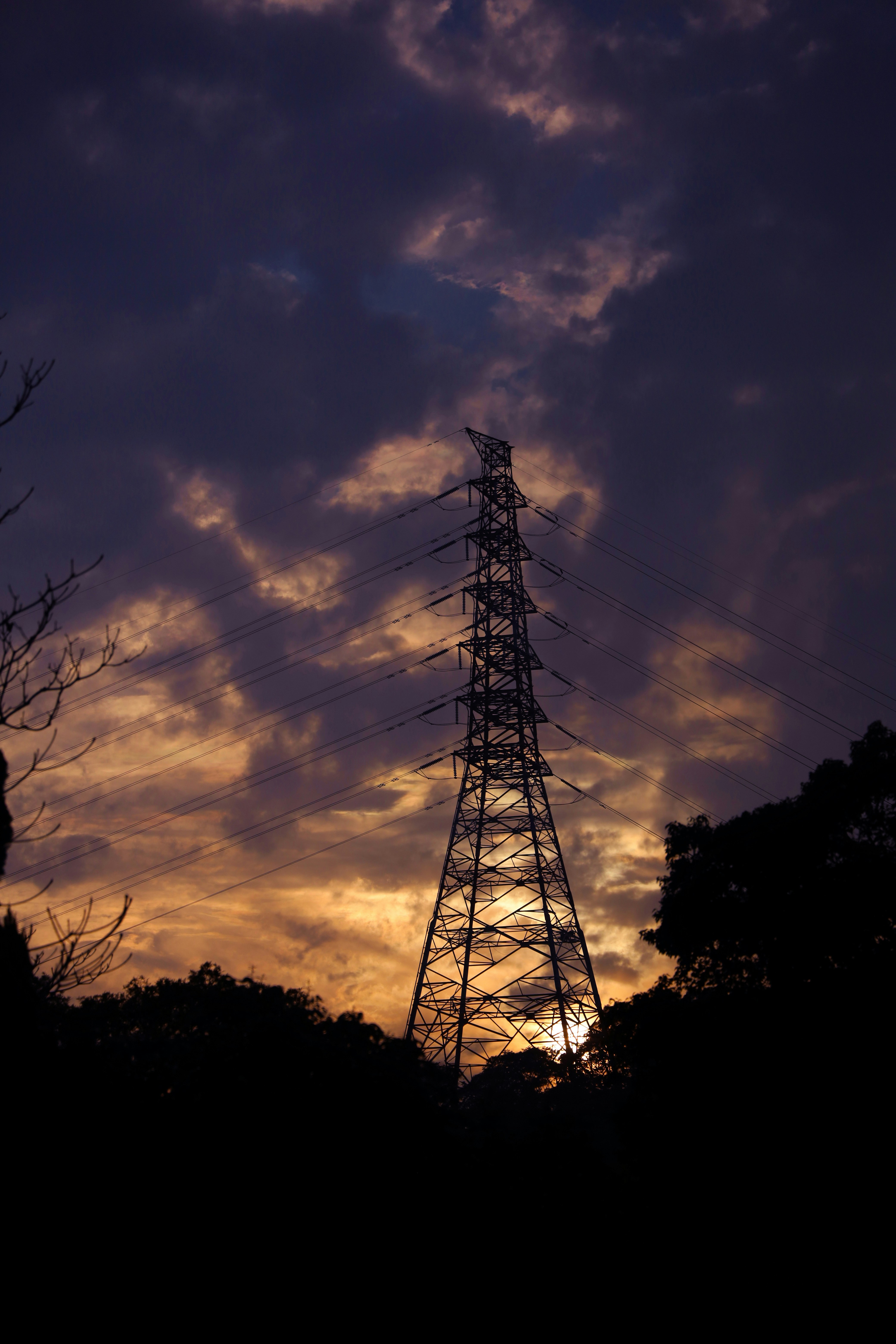 silhouette of trees under blue sky