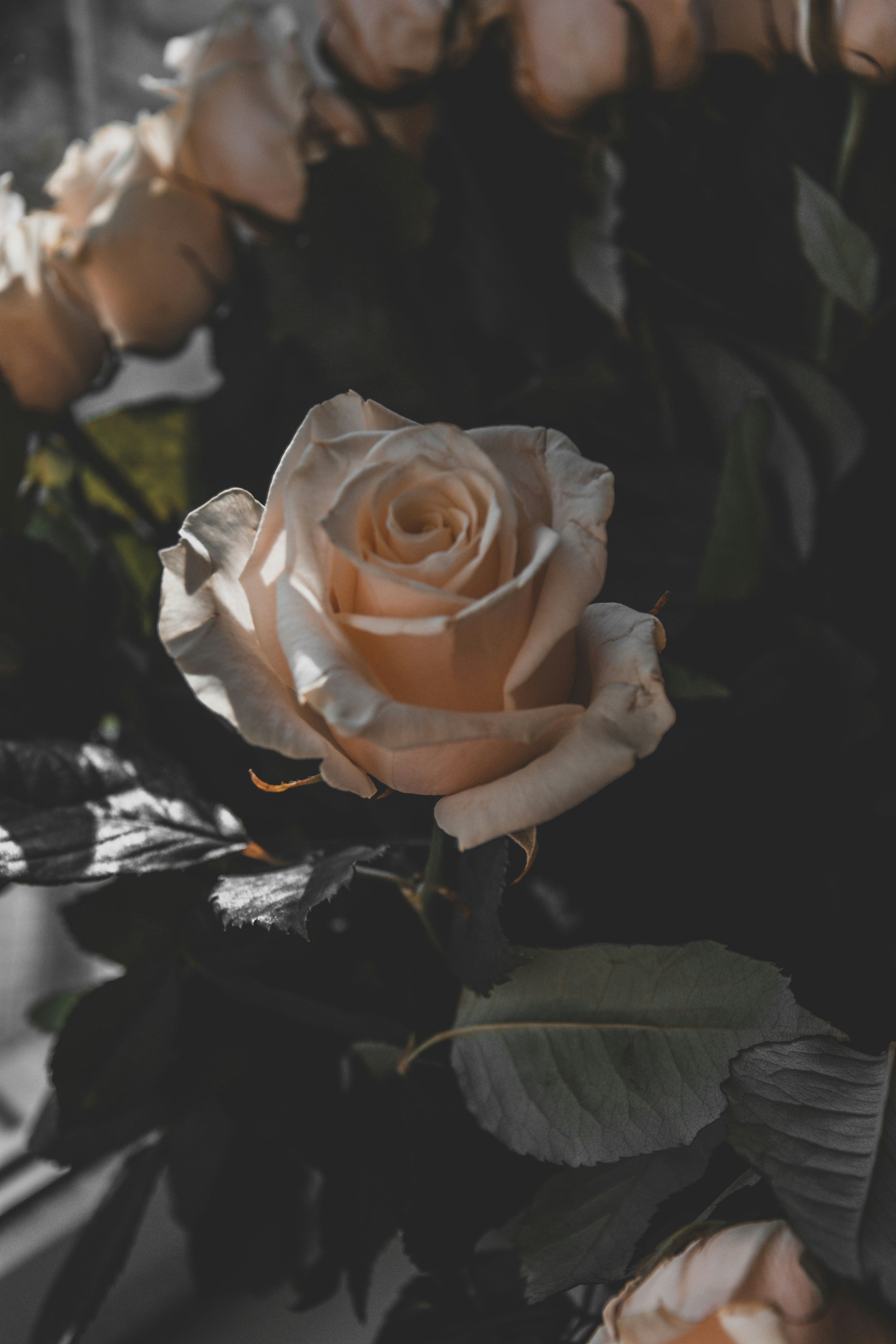 Photo by tetiana_martynenko