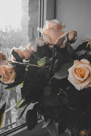 Soft pastel rosé flowers arranged delicately on a wooden table with sunlight filtering through a nearby window.