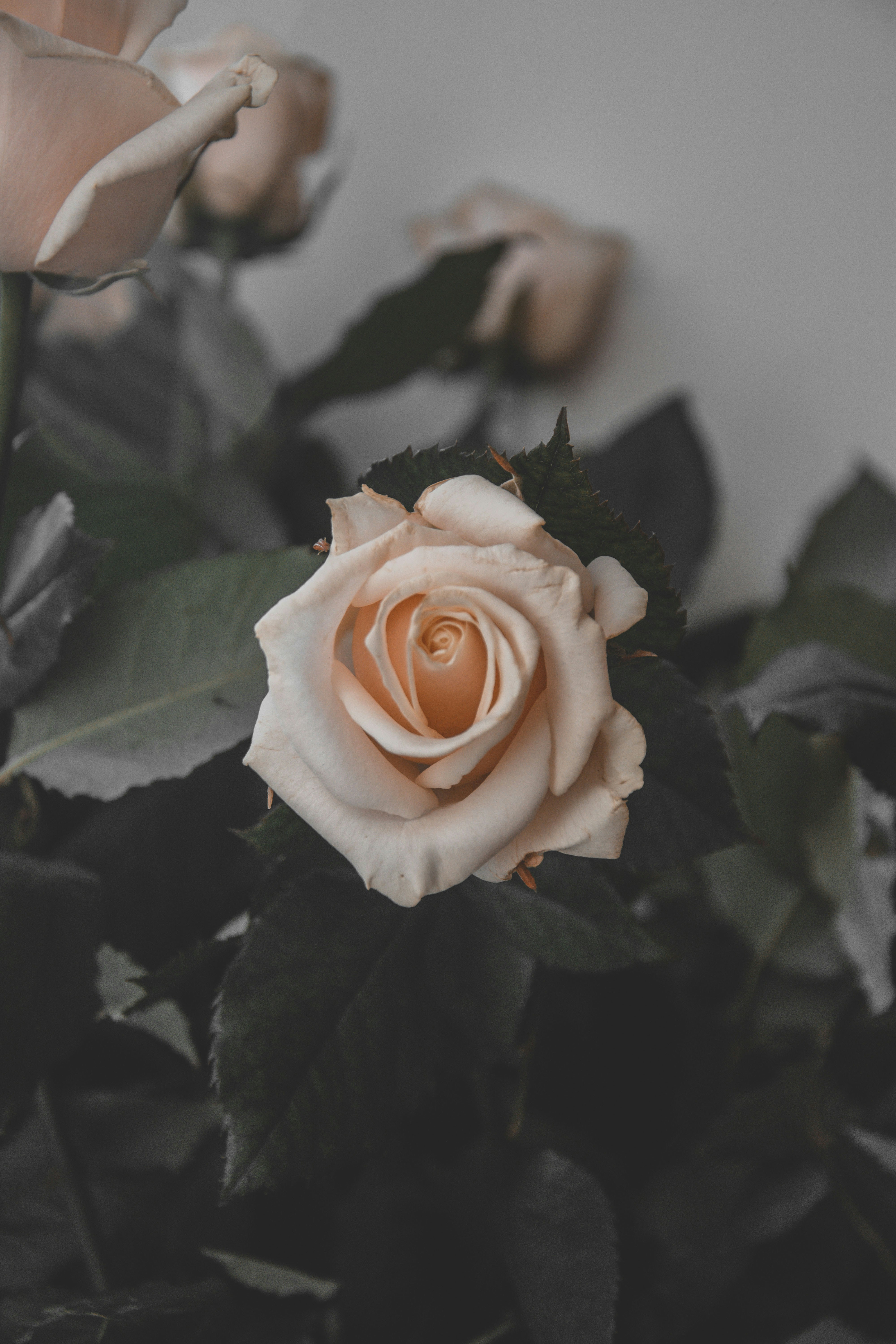 Photo by tetiana_martynenko