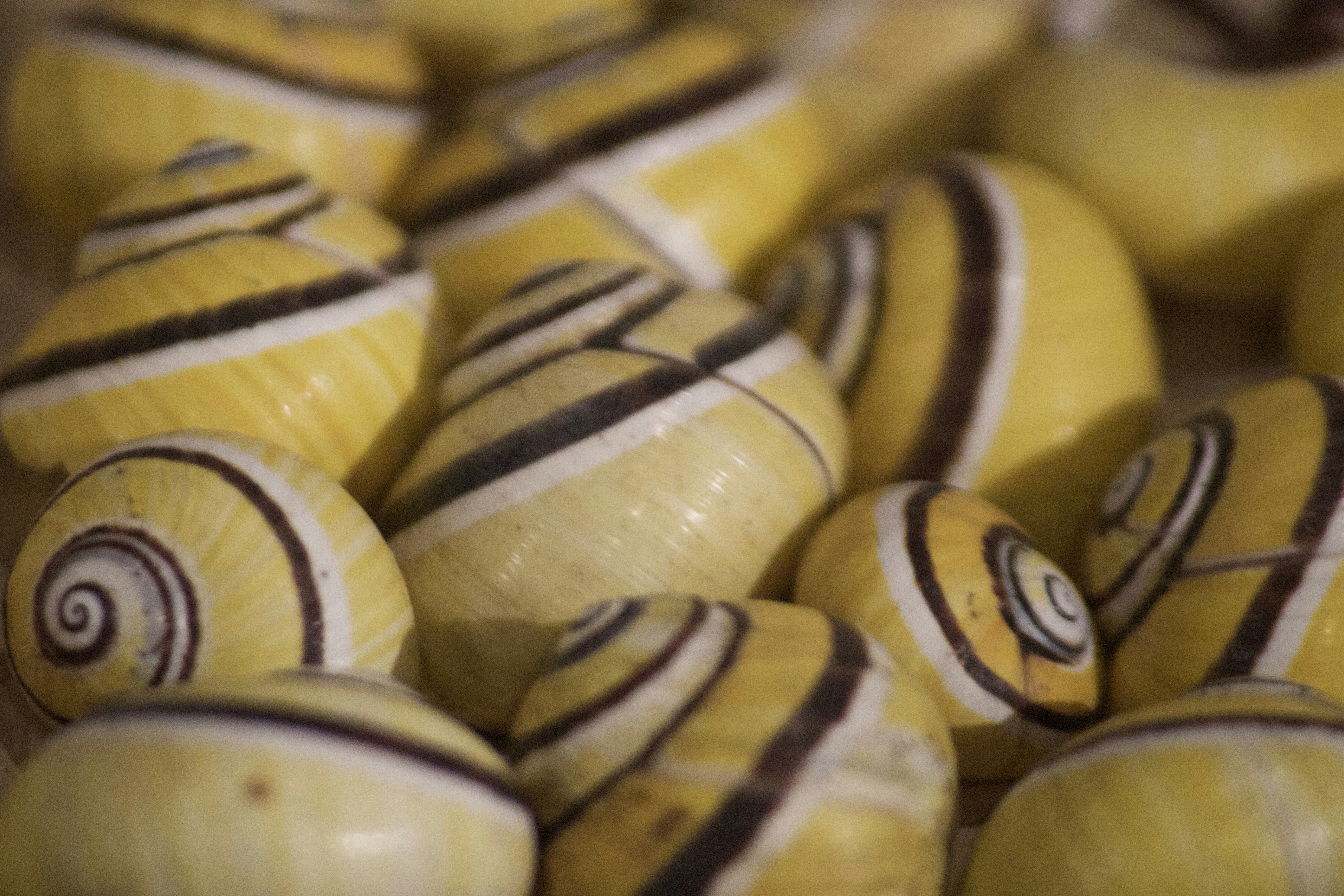Natural patterns: colorful snail shells.