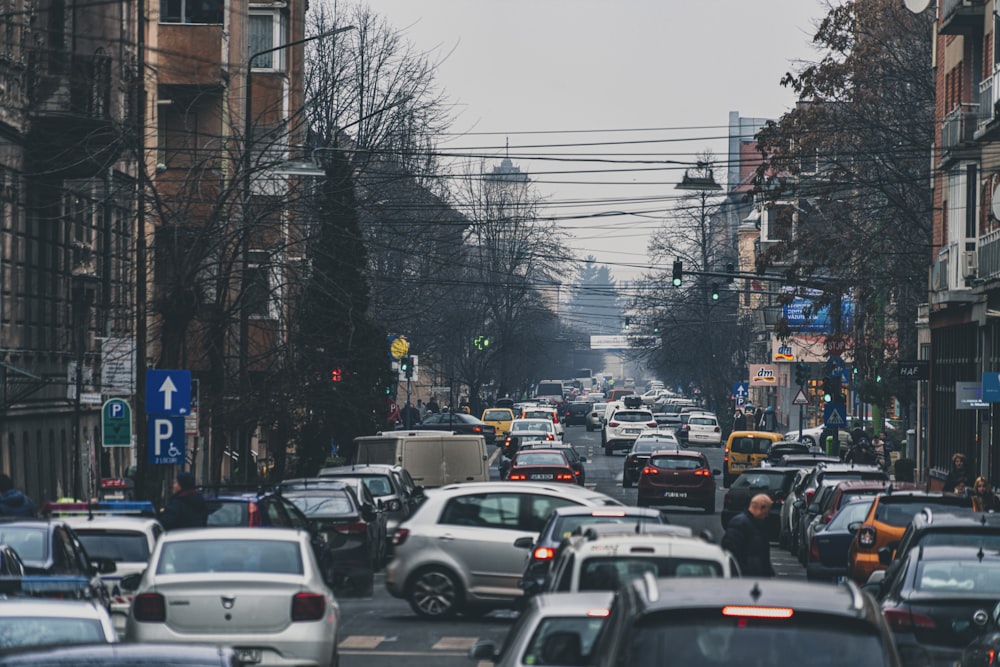 cars on road near buildings during daytime