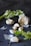 An arrangement of garlic cloves and a bunch of fresh celery is set against a dark background. The garlic is partially peeled, with pieces of the papery skin scattered around. Black peppercorns are also sprinkled across the surface.
