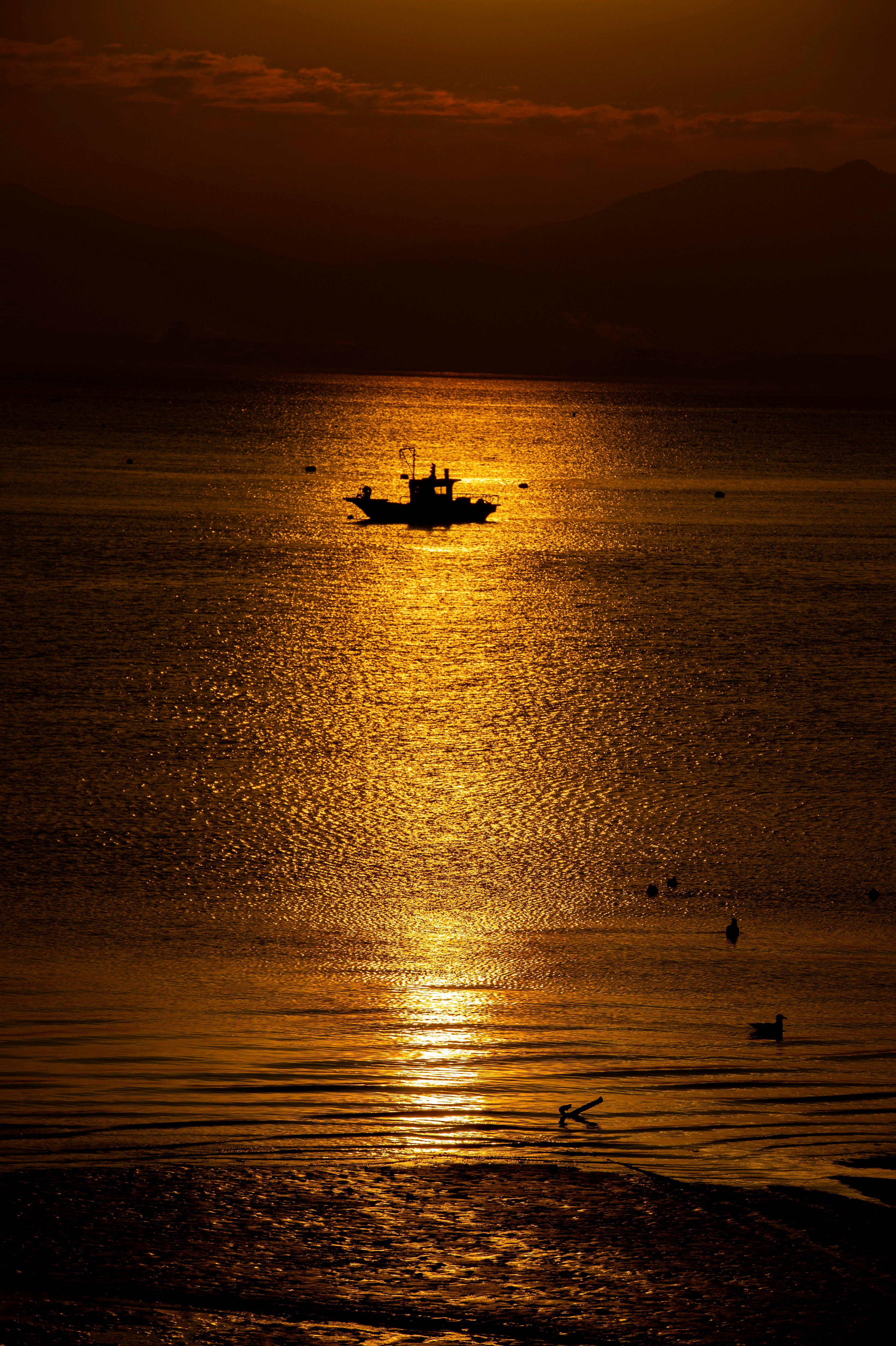 silhouette of 2 people riding boat on sea during sunset