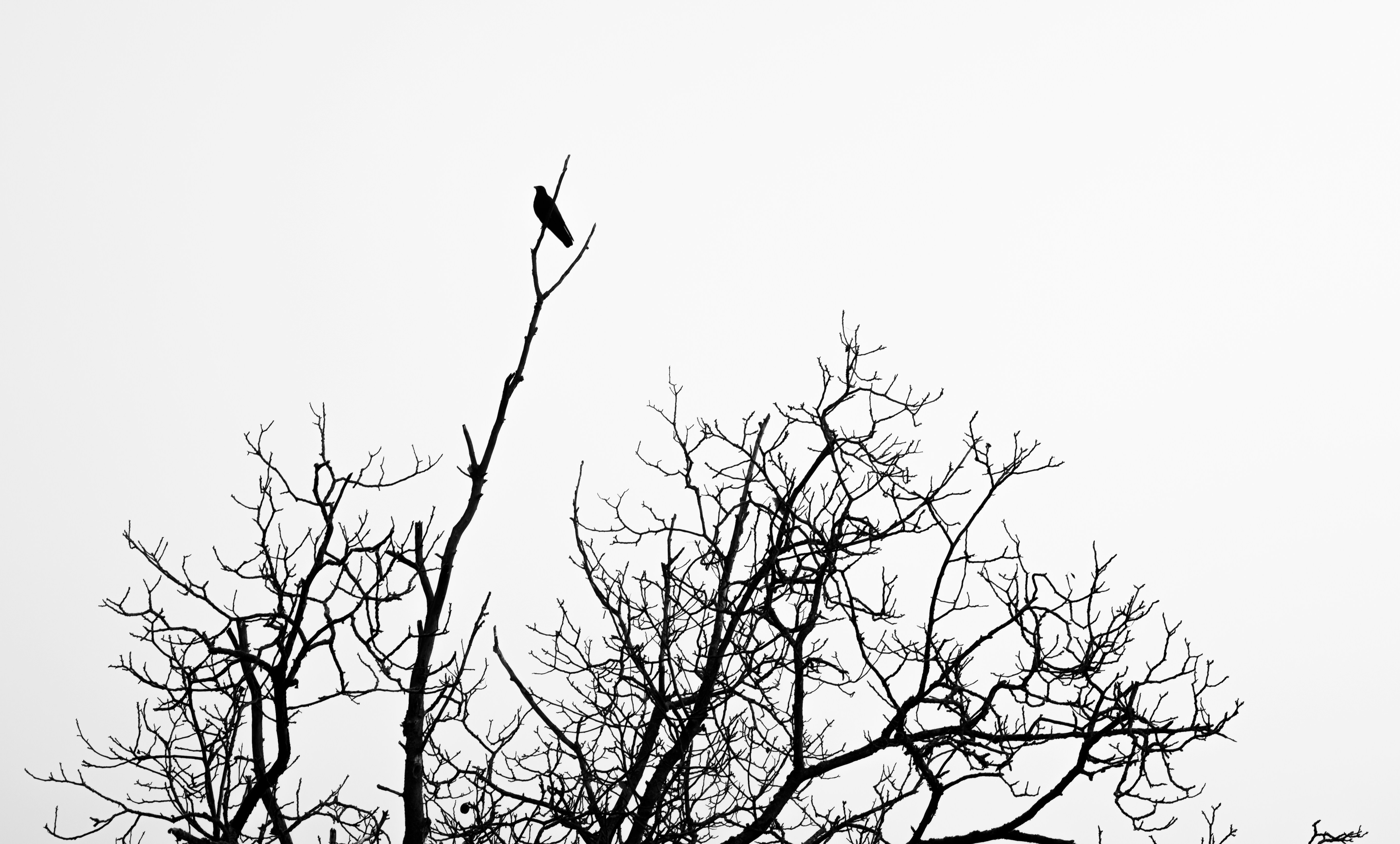 Photo by franztakespics