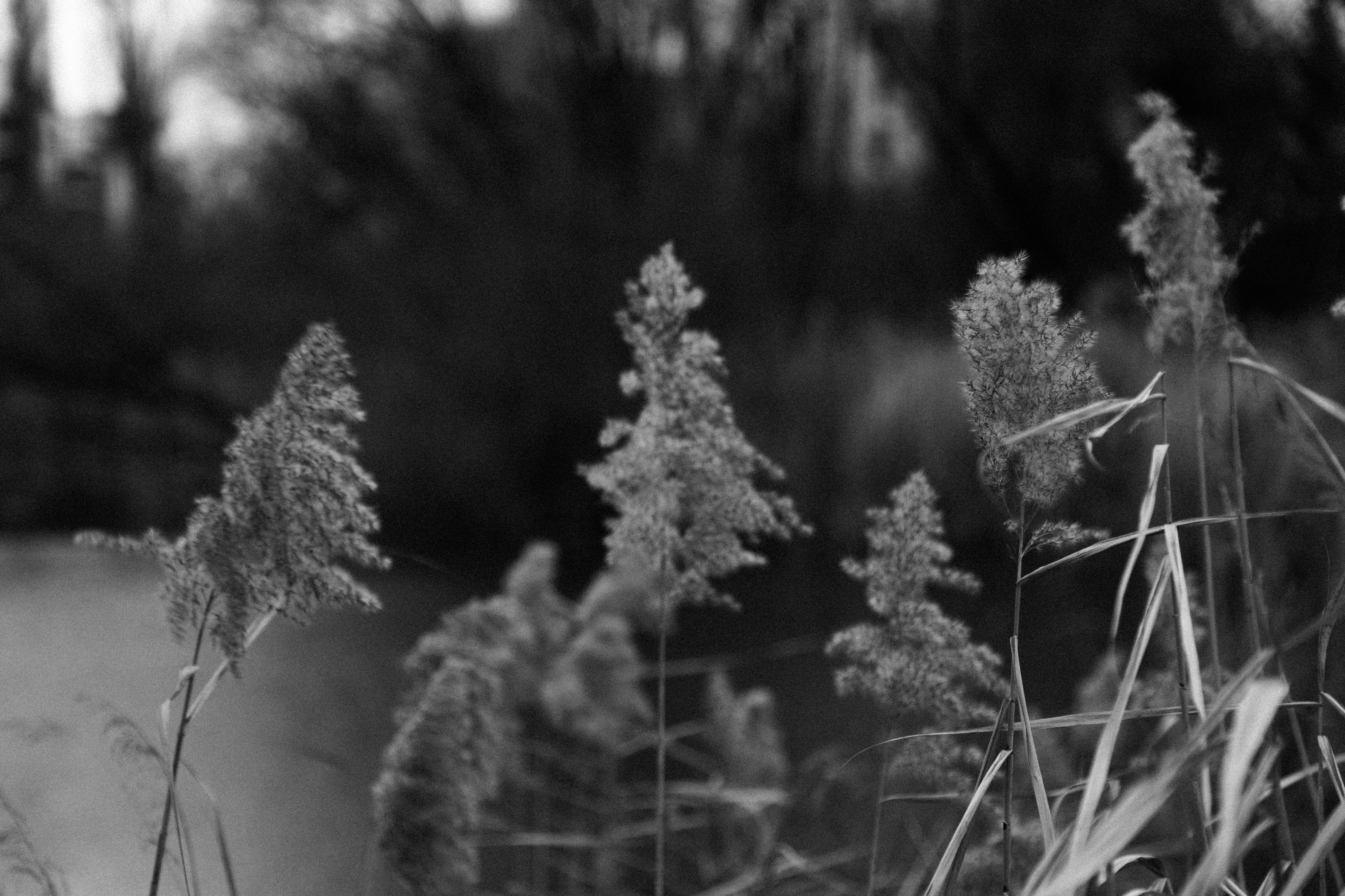 Photo by franztakespics