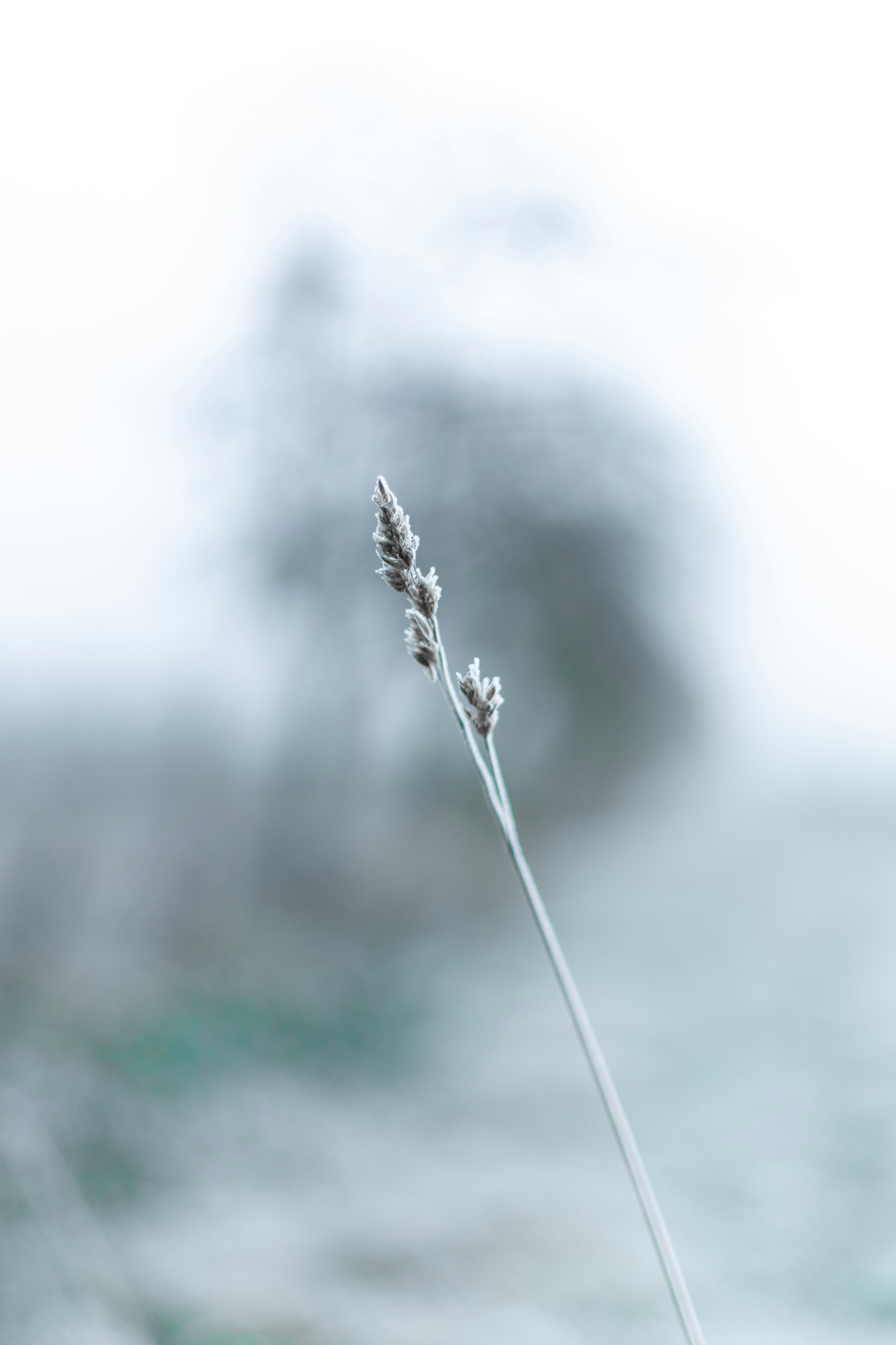 Photo by franztakespics