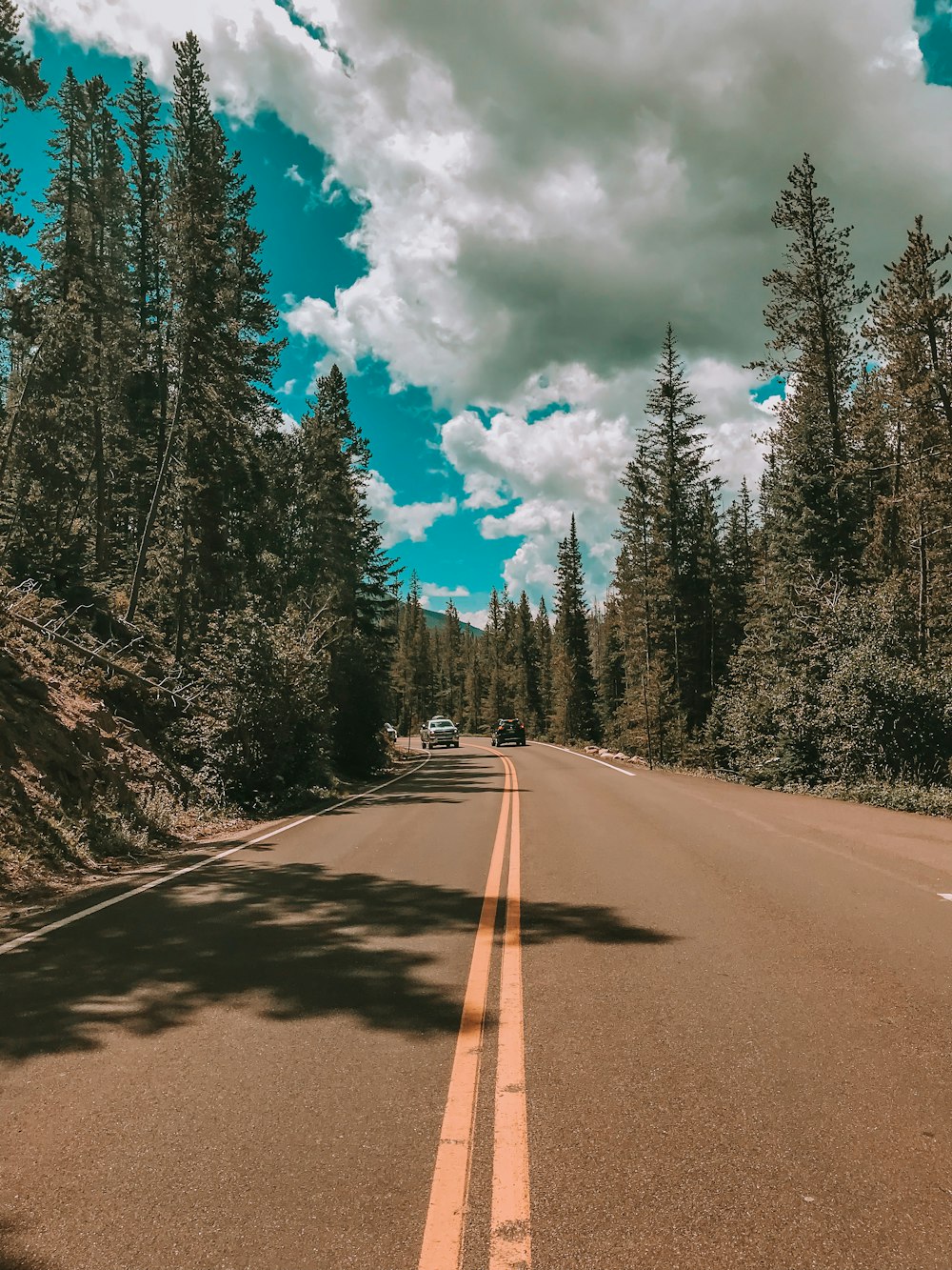 gray concrete road between green trees under white clouds and blue sky during daytime