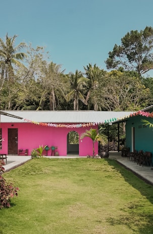 A vibrant outdoor space with a lawn bordered by a pink and a blue building. Colorful triangular pennant banners are strung between the buildings. Lush green trees and palm trees form a backdrop under a clear sky.