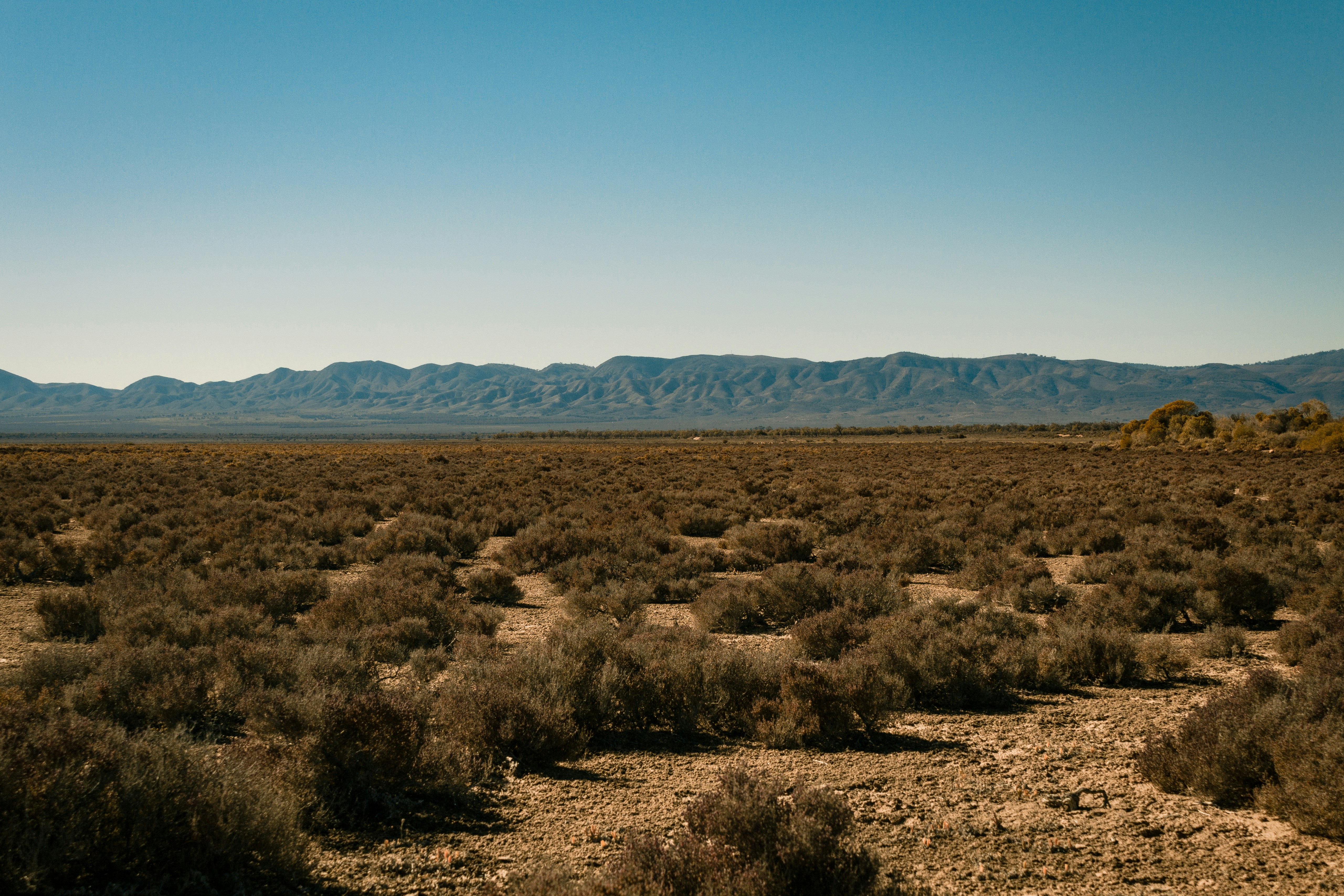 Photo by seven_roadtrips_com