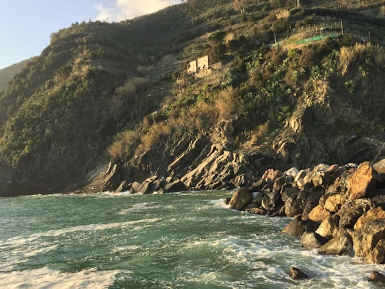 brown and green rocky mountain beside body of water during daytime in Liguria Italy