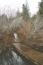 Pathway leading from the cabin to the nearby Liucura river through the woods.