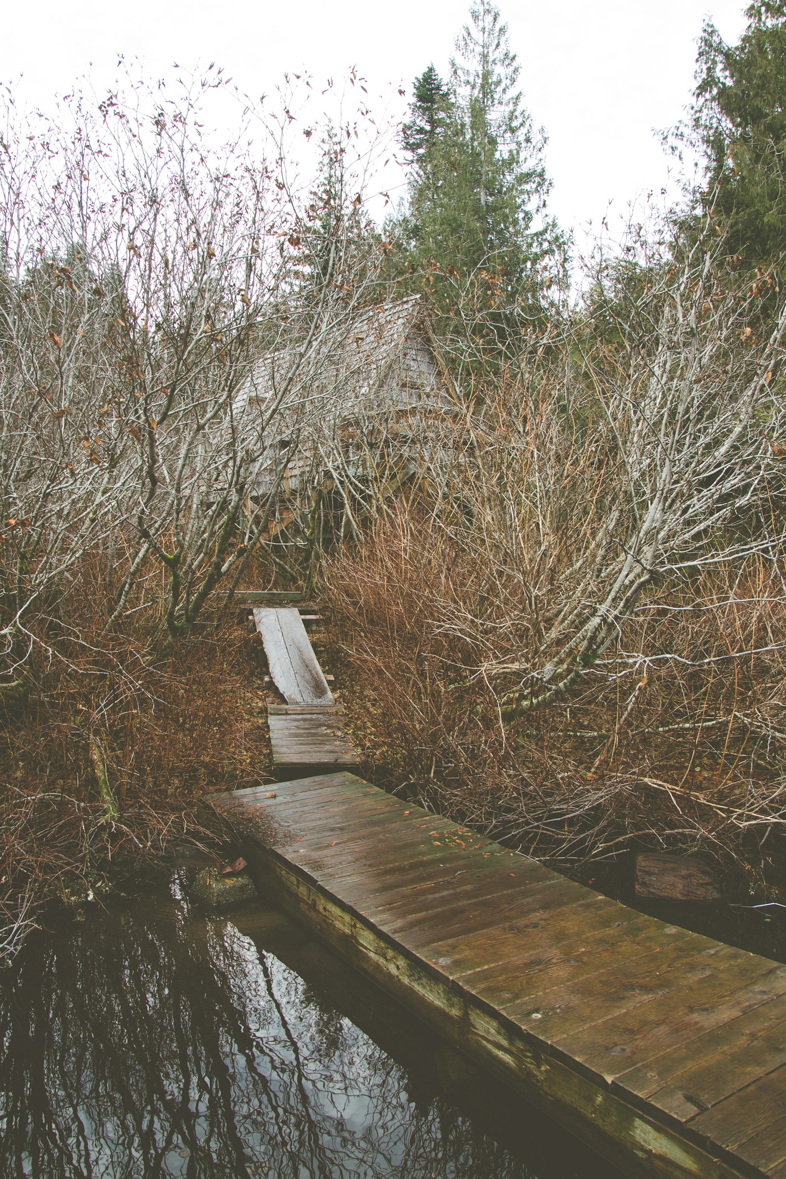 Canon EOS 700D (EOS Rebel T5i / EOS Kiss X7i) + Tamron 16-300mm F3.5-6.3 Di II VC PZD Macro sample photo. Brown wooden dock on photography