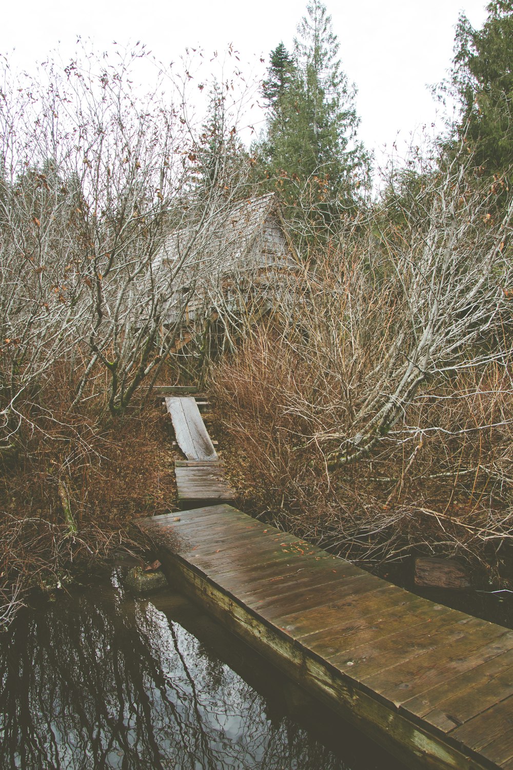 Pontile di legno marrone sul fiume durante il giorno