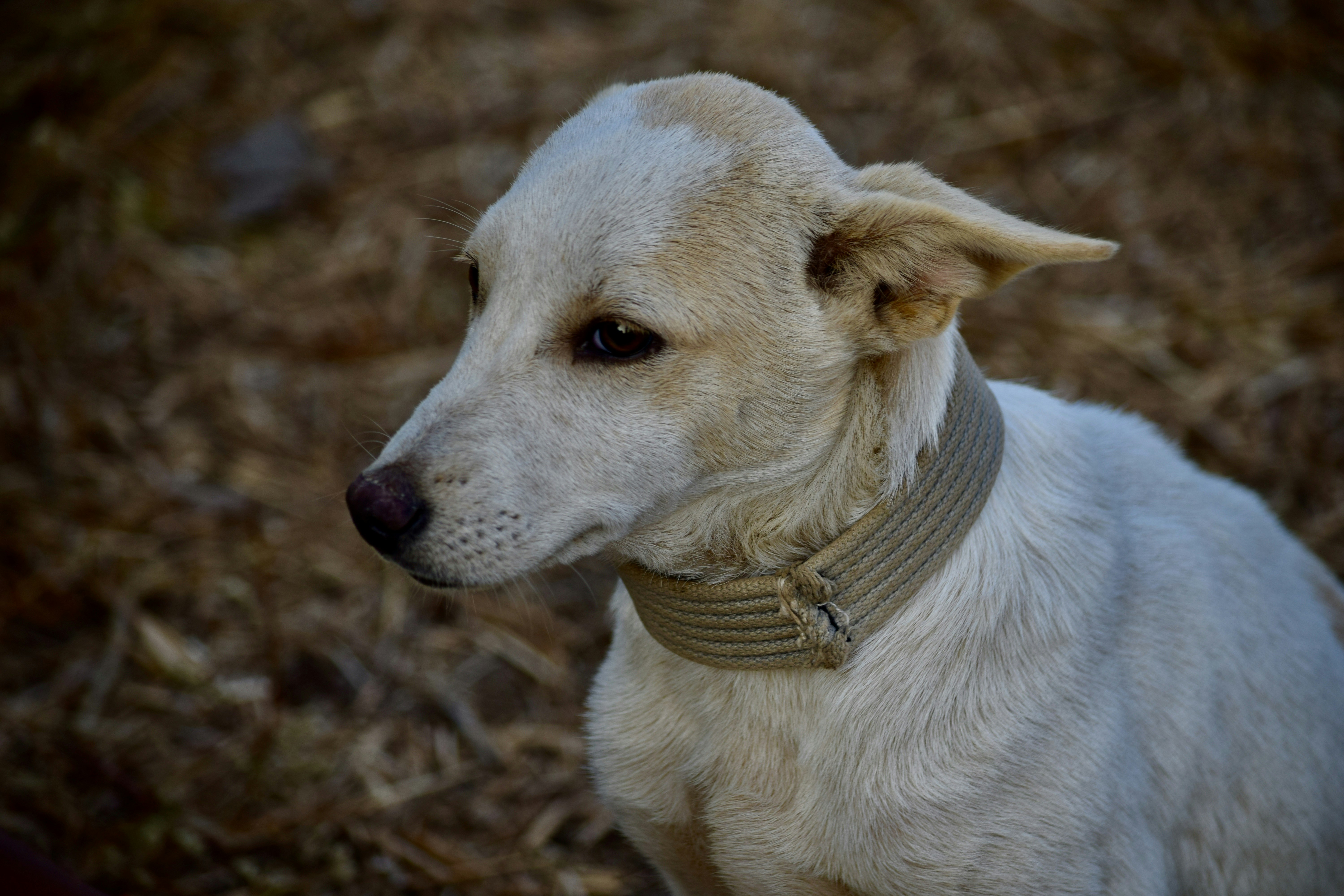 Photo by rrajputphotography