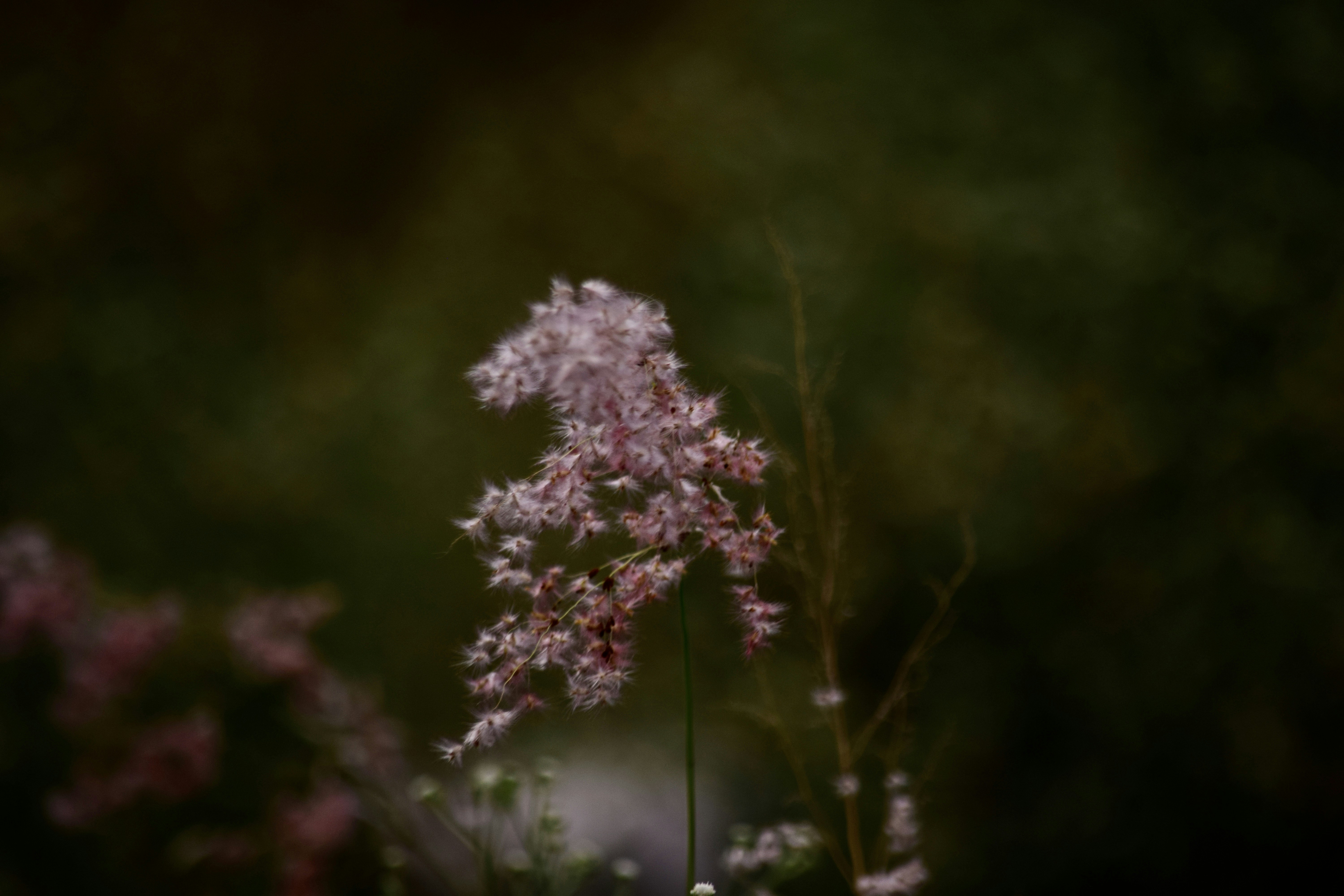 Photo by rrajputphotography