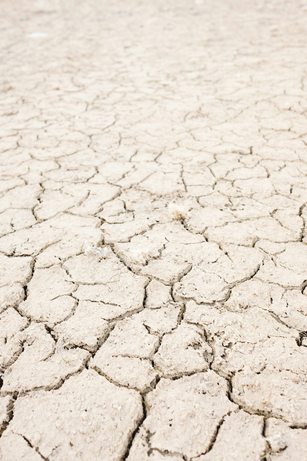 areia branca com forma de coração