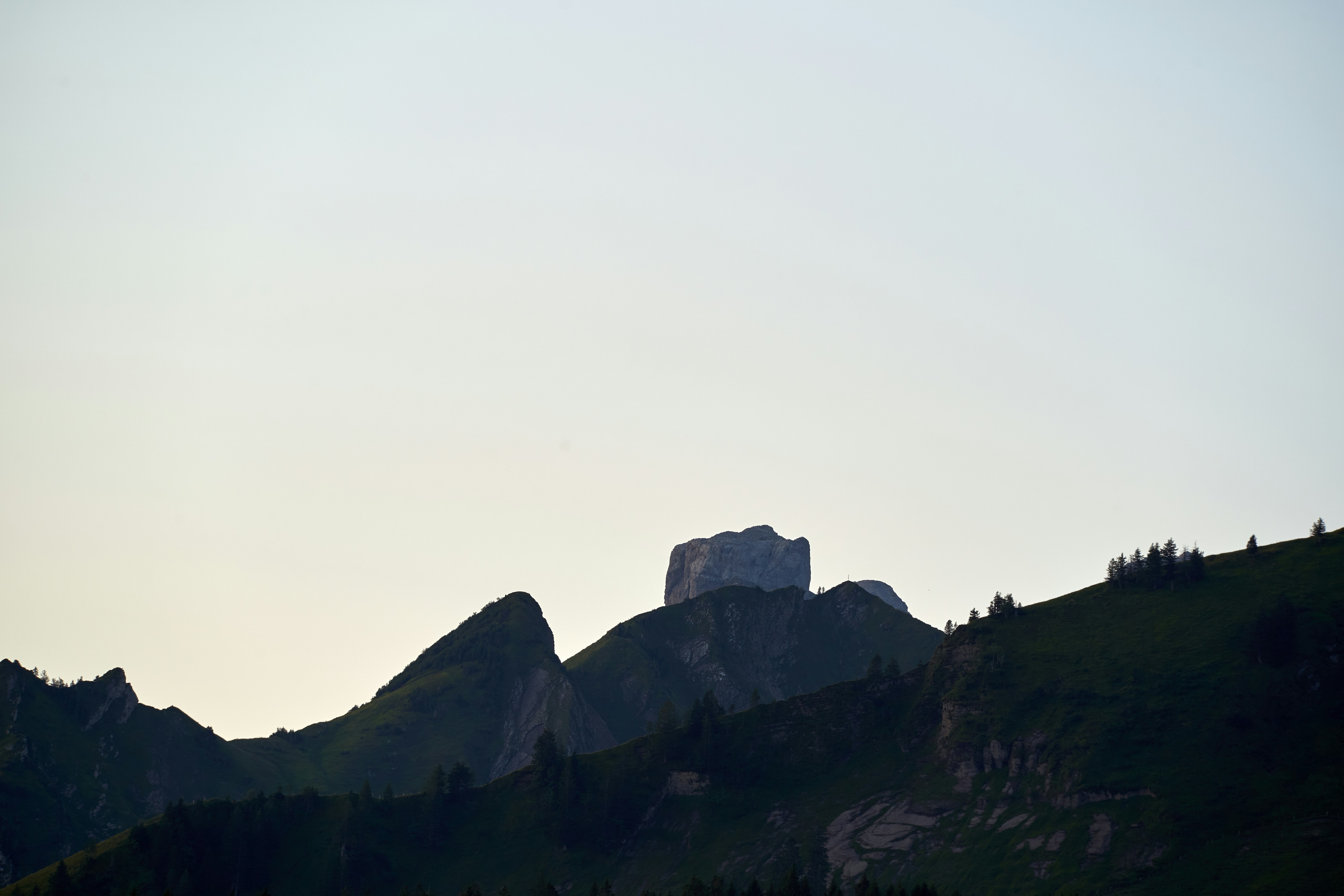 Photo by wolfgang_hasselmann