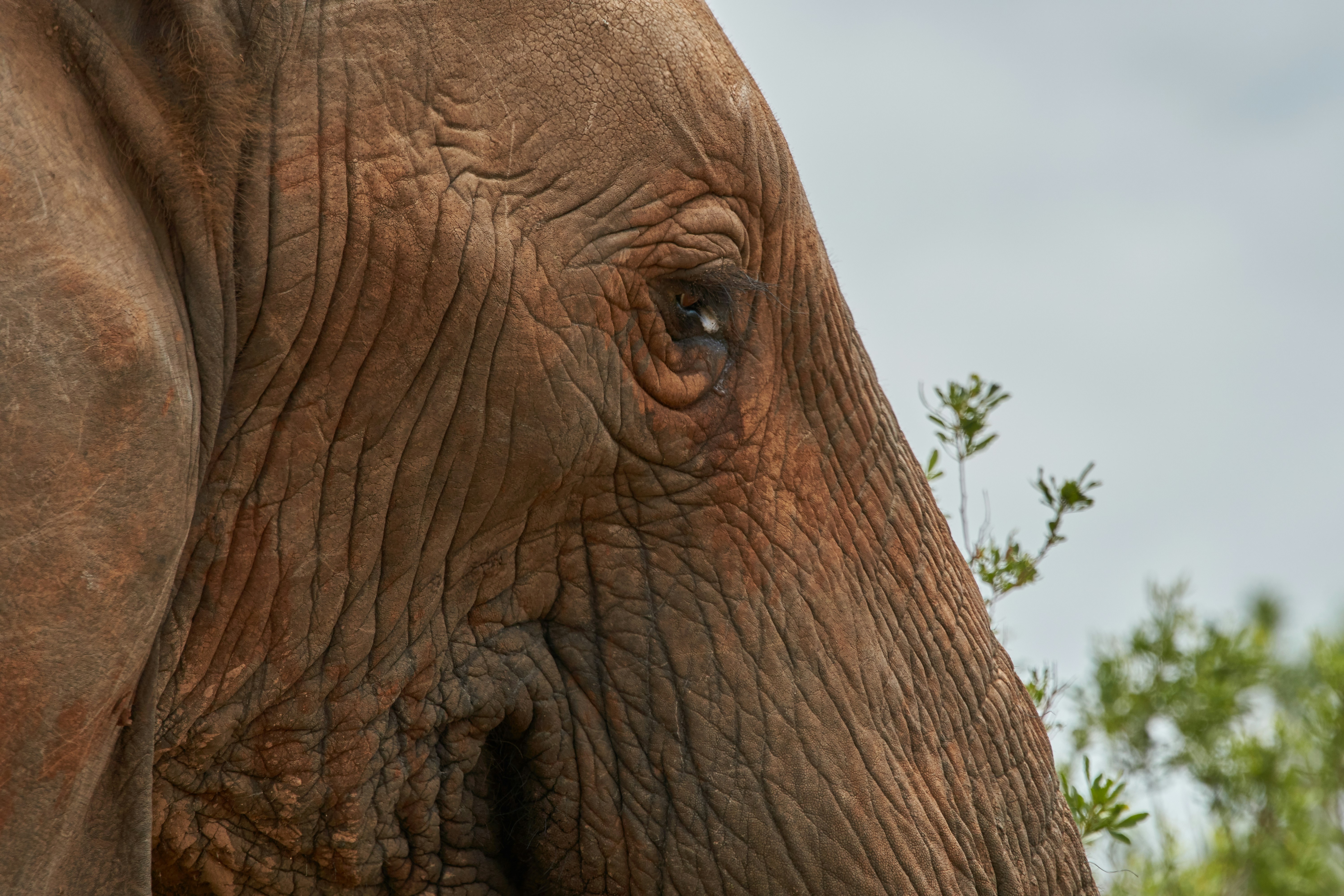 Photo by wolfgang_hasselmann