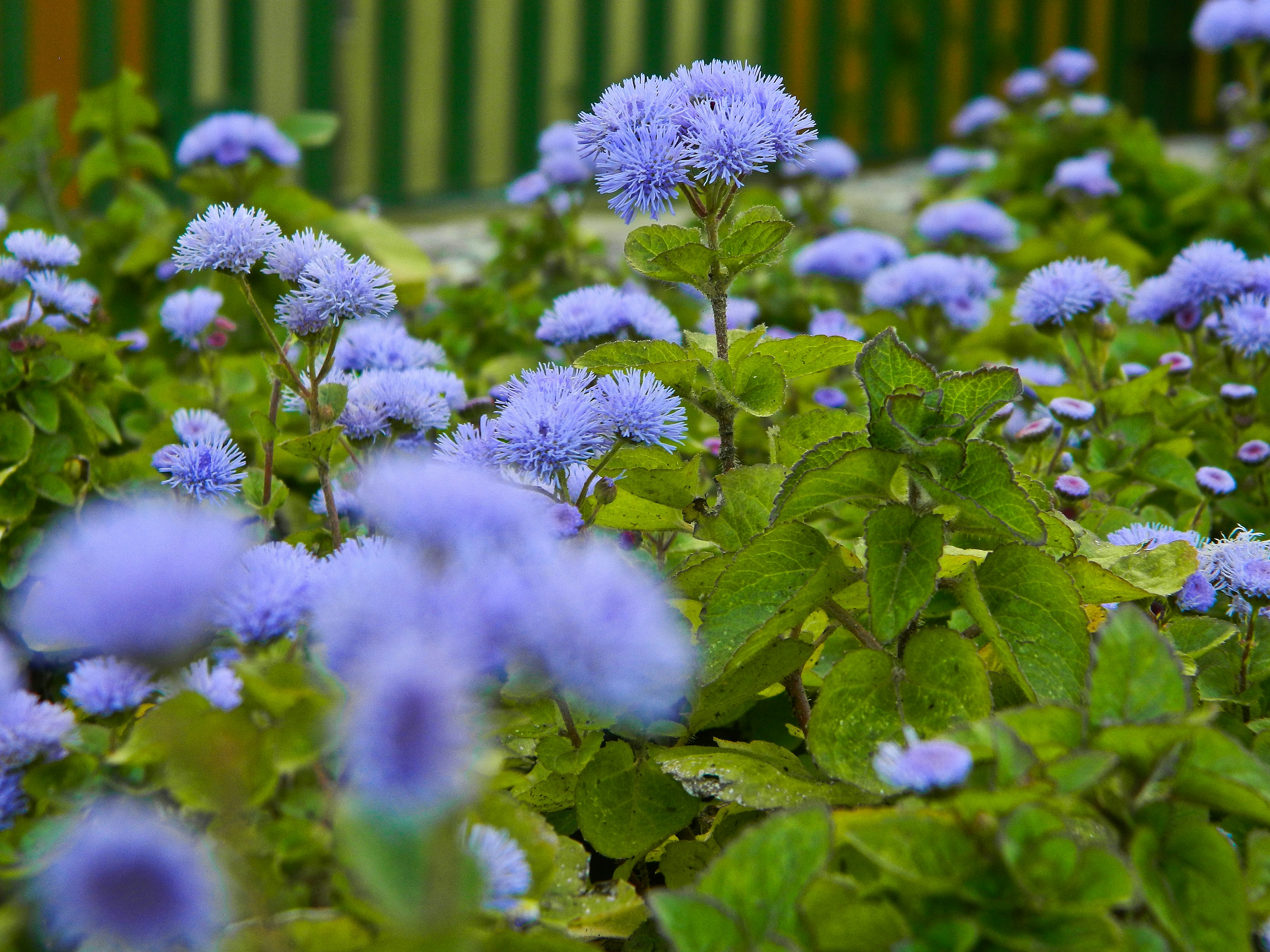 Photo by ruxandrateodroa