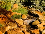 A serene rural garden with ornamental rocks and native plants under soft sunlight.