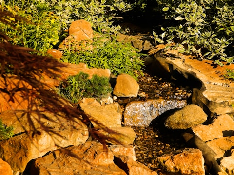A serene rural garden with ornamental rocks and native plants under soft sunlight.