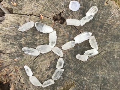 A collection of clear quartz crystals is arranged on a weathered tree stump with visible growth rings and natural cracks. The textures and colors of the wood provide a rustic backdrop to the translucent crystals.