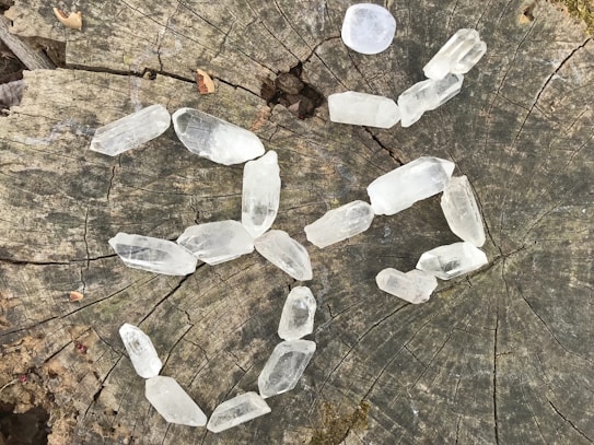 A collection of clear quartz crystals is arranged on a weathered tree stump with visible growth rings and natural cracks. The textures and colors of the wood provide a rustic backdrop to the translucent crystals.