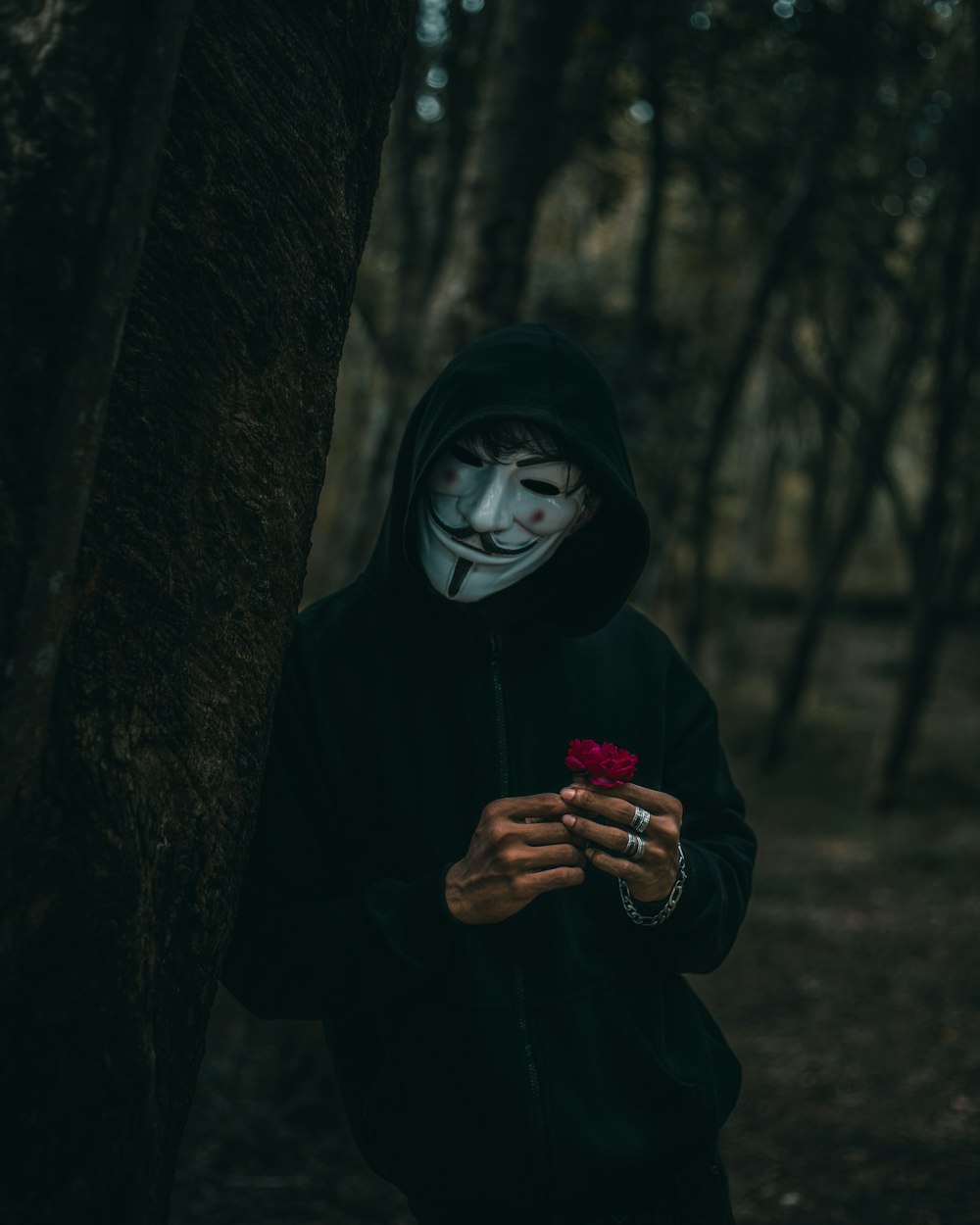 woman in black hijab holding red flower