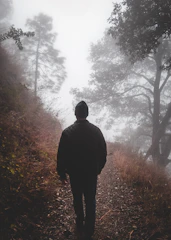 A serene landscape with a lone figure walking through a misty forest