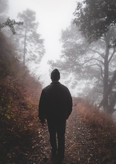 A serene travel film frame featuring a lone traveler walking along a misty forest path.