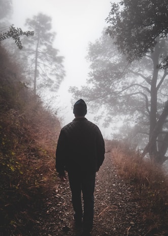 A serene travel film frame featuring a lone traveler walking along a misty forest path.