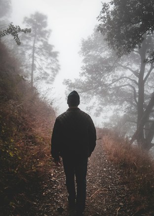 A solitary figure walks along a foggy forest path surrounded by trees and dense mist. The atmosphere is quiet and serene, with dim lighting and earthy tones.