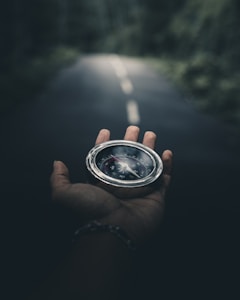GPS Navigator X