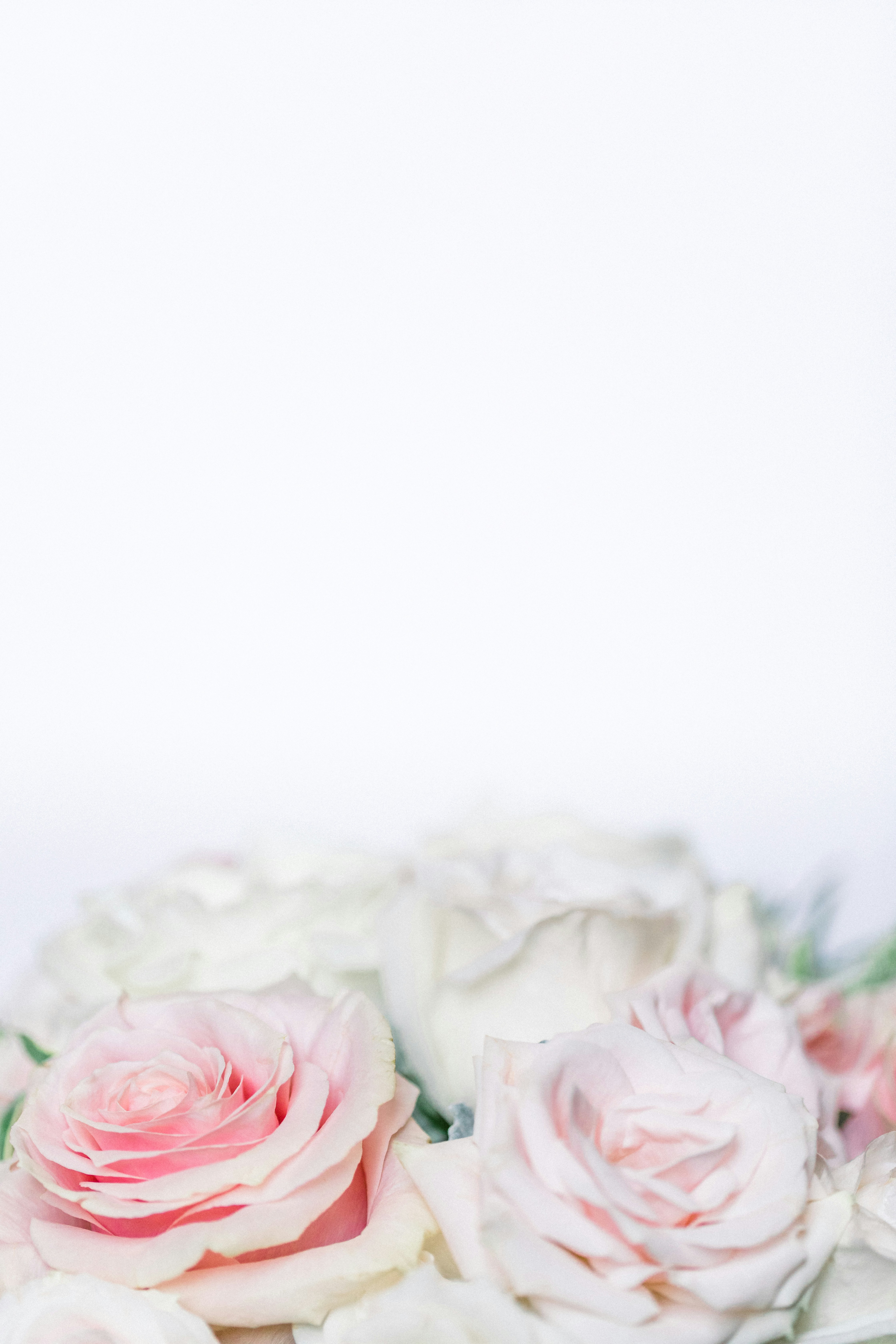 白とピンクのバラのブーケの写真 Unsplashで見つけるグレーの無料写真