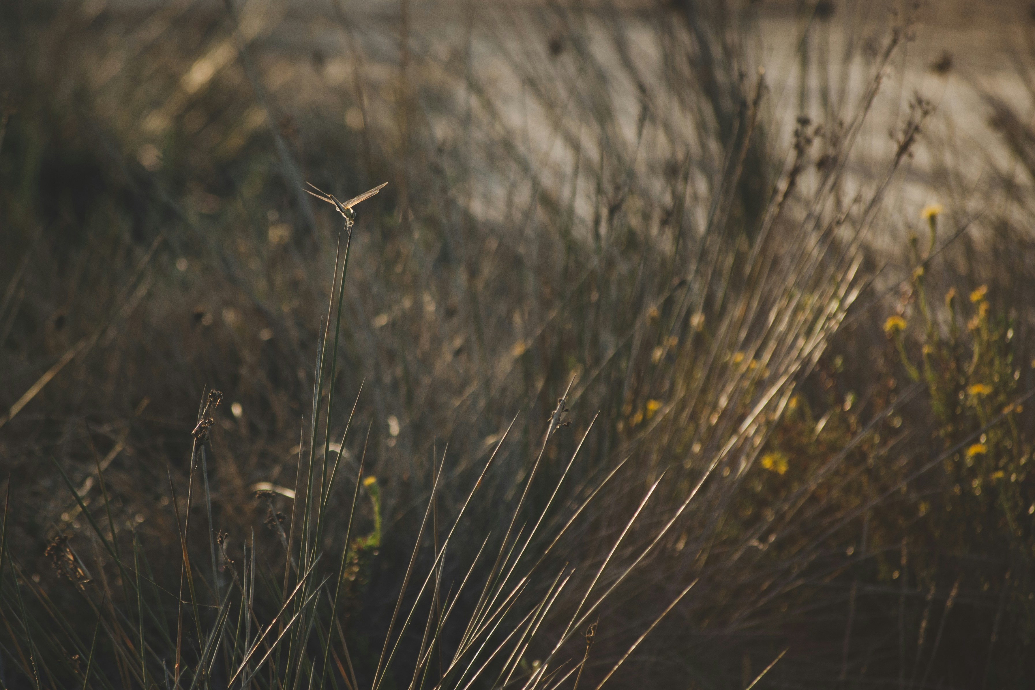 Photo by yuli_superson