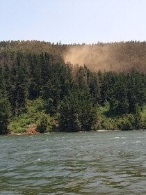 A forested hillside with dense green trees stands alongside a body of water, with sunlight causing a dusty haze to be visible near the treetops.