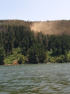 A forested hillside with dense green trees stands alongside a body of water, with sunlight causing a dusty haze to be visible near the treetops.